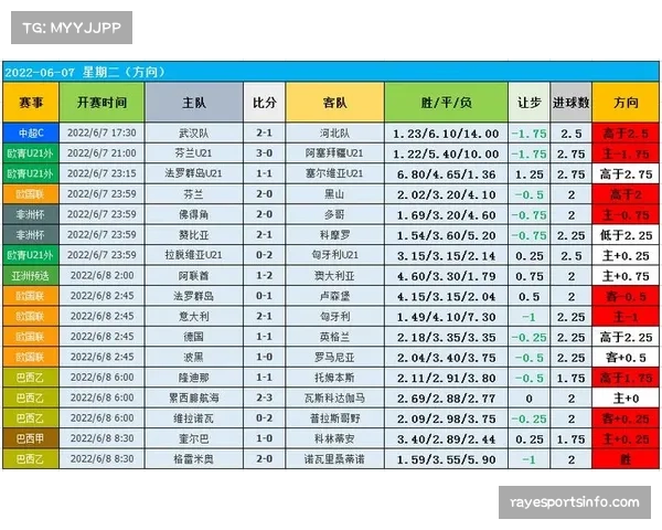欧足联与曼彻斯特大学合作开设2026年暑期课程，聚焦“足球大数据与比赛表现分析”